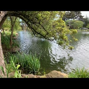 Meet your Posher, Alice